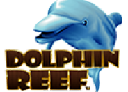 Dolphin Reef